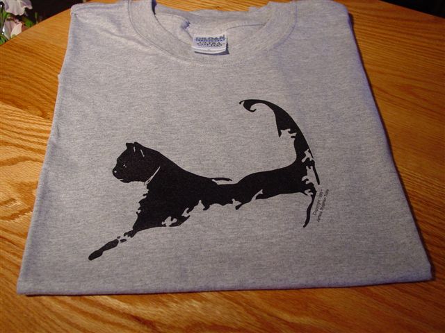 Cape Cat Map T-Shirt (Wellfleet Oyster Steel-Gray)